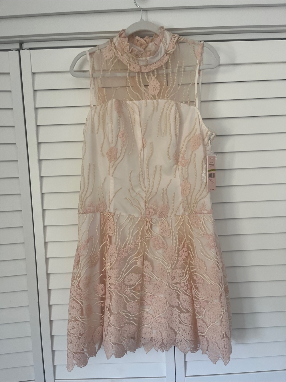 Adrianna Papell womans Lace Overlay Dress in Blush and Ivory